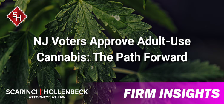 NJ Voters Approve Adult-Use Cannabis: The Path Forward